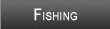Lake Strom Thurmond Fishing